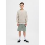 Jack & Jones Lastikli Bel Normal Yeşil Erkek Çocuk Şort 12269948 - 10 Yaş
