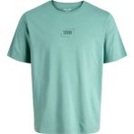 Jack & Jones Mavi Erkek Çocuk Baskılı T-Shirt 12297506 - 12 Yaş