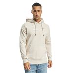 Jack & Jones Moonbeam Kapüşonlu Erkek Sweatshirt