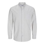Jack Jones Oxford Plus Büyük Beden Erkek Gömlek 12286178