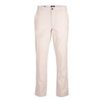 JACK & JONES PLUS Erkek Jpstollie Jjdave Linen DEK Ps Chino pantolon, Ay ışını/Detay: Sağlam, 42W / 32L