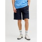 Jack Jones Stkarı Norrebro Loose Fit Erkek Şort 12292565