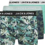 Jack Jones Tasmanıa 3 Lü Paket Erkek Boxer 12277719