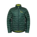Jack Wolfskin A61836PASSAMANI DOWN Koyu Yeşil Regular Fit Erkek Mont