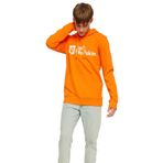 Jack Wolfskin Arthur Hoody Erkek Sweatshirt 1000001TR-3412