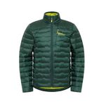 Jack Wolfskin Erkek Regular Fit Kaz Tüyü Mont, Koyu Yeşil, S
