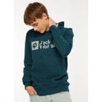 Jack Wolfskin Yeşil Erkek Kapüşon Yaka Sweatshirt Arthur Hoody M