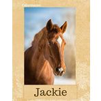 Jackie: Chestnut Horse Personalised Notebook (Large) (Chestnut Horse Personalised Notebooks, Band 148)