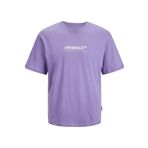 Jack&Jones 12235278 Erkek T-shirt