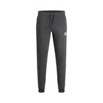 JACK&JONES Erkek Slim Fit Yüksek Bel Eşofman Altı, Asphalt, XL