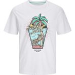 Jack&jones Lijah Crew Neck Erkek Beyaz Yuvarlak Yaka Tişört - 2XL