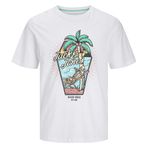 Jack&jones Lijah Crew Neck Erkek Beyaz Yuvarlak Yaka Tişört