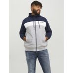 Jack&jones Plus Erkek Ceket 12243517 - 3XL - Lacivert