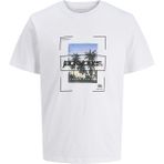 Jack&jones Systematic Crew Neck Erkek Beyaz Yuvarlak Yaka Tişört