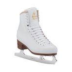 Jackson Mystique 1490 Buz Pateni