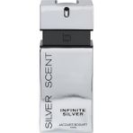 Jacques Bogart İnfinite Silver EDT 100 ml Parfüm