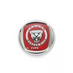 Jaguar Wander Plus Type R Kırmızı Metal Araç Amblemi Krom Oto Logo Arma (Kırmızı Zeminli)