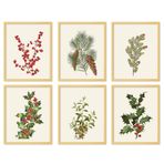 JarThenaAMCS 6 Adet Noel Kış Duvar Sanatı Baskıları Çam Yaprakları Holly Berry Kağıt Posterler Noel Ev Ofis Galeri Partisi için Estetik Resimler, 20 x 25 cm, Çerçevesiz