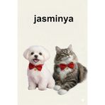 Jasminya Kedi Köpek Zil Papyon Tasma Aksesuar