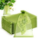 Jeinbuil 100 adet üzüm koruma torbası 20 x 30 cm üzüm koruyucu torba meyve koruma torbası çekme bantlı bahçe file torba kiraz sirkesi eşek arısı ve kuşlara karşı koruma
