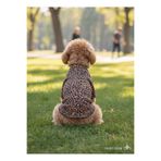 jeneric PET KIYAFET, KEDİ VE KÖPEK KIYAFETİ,KÖPEEK TİŞÖRT, KEDİ TİŞÖRT