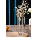 Jenisa Silindir Şeffaf Cam Vazo 12x25 cm - Dekoratif Modern Organizasyon Çiçek Düzenleme Şık Tasarım