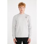 Jepublic Erkek Gri Sweatshirt ( Model Kodu : ) J232406