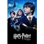 Jeronkarji Harry Potter And The Philosopher's Stone (2001) Film Posterinin 500 Parça Puzzle Yapbozu Sürüm3 F28