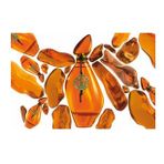 Jesus Del Pozo Ambar EDT 100 ml Kadın Parfümü