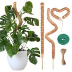 JIANGZHIB Monstera için yosun çubuğu, 3 adet Monstera tırmanma yardımcısı, bitkiler için 60 cm bükülebilir yosun çubukları, Monstera sarmaşık yardımcısı, jüt halat ve cırt cırtlı bantlı, Hindistan
