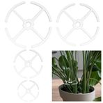 JIEYAO 4 Paket Kaplumbağa Kabuğu Bambu Kelepçe Seti, Tırmanma Houseplant Kök Akrilik Pothos Bitki Tırmanıcıları Çiçek Kök Tutucular 4 Boyutlu Bitkiler Kök Raf Kancası Büyüyen Bitkiler için Açık Kapalı