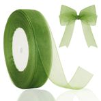 jijAcraft 20 mm Şeffaf Organze Kurdele Adaçayı Yeşili: Hediye için Şifon Bant 45 m Dar Tül Kurdele Açık Yeşil Şeffaf Hediye Bandı Çiçek El İşi Noel Ağacı için