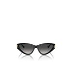 Jimmy Choo 0JC5019 50008G 55 Kadın Güneş Gözlüğü