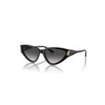 Jimmy Choo JC 5019 55 50008G Kadın Güneş Gözlüğü