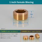 Jingliang Shop B 1 Inç Kadın Tarzı 1 Parça Erkek Dişi Konu Brae Altıgen Kafa Uç Tapası Bağlantı Hızlı Bağlayıcı Pirinç Evrensel Musluk Adaptörü (Yurt Dışından) - Sıhhi Tesisat Araçları