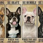 JinGoo Vintage Teneke Tabela Metal Poster Plak Fransız Bulldog Be Strong When You are Weak Poster Metal Tabela Demir Boyama Retro Duvar Dekoru Ev Otel Kafeler için İşaret Hediye 30,4 x 40,4 cm