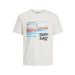 JJ REBEL Erkek Jreblarry Tee Ss bisiklet yaka, Cloud Dancer., L