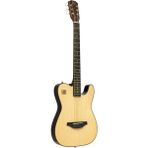 JN Guitars Akustik Gitar EW3000 Cn