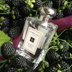 Jo Malone London Blackberry & Bay Eau De Cologne 100 Ml Kadın Parfum