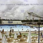 Joel Sternfeld: American Prospects by Kerry Brougher (2004-02-23)