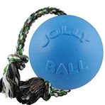 Jolly Pets Romp-n-Roll İp ve Top Köpek Oyuncağı, 4,5 inç/Küçük, Yaban Mersini Tüm Cinsler İçin
