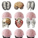 Jollyboom İnsan Anatomisi Parti Dekorasyonu, 36 adet İnsan Vücudu Temalı Cupcake Topper İnsan Vücudu Parçası Organ Çift Taraflı Kek Dekorasyonu Anatomi Tıp Doktoru Hemşire Doğum Günü Mezuniyet