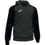 Joma 101967.151 Academy IV Zip Up Hoodie Siyah Erkek Eşofman Üstü