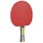 Joola Team Master Ittf Onaylı Masa Tenisi Raketi