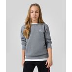Jordan Brooklyn Fleece Essential Crew 08-16 yaş çocuk erkek Gri Sweatshirt - 95D389-GEH