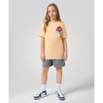 Jordan Brooklyn Fleece Essential Shorts 08-16 yaş çocuk erkek Gri Şort - 95D391-GEH