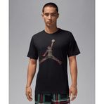 Jordan FZ1977-010 Siyah Flight Essentials Erkek T-Shirt