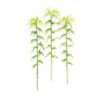 Jordania Bambu Ağaç 3’lü 10 cm N:SB10 Maket
