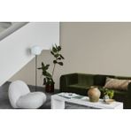 Jotun Soft Grey 0394 Fenomastic Güzel Evim Serisi Saf Ipek 1 LT