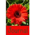 Journal: Red Gerbera Daisy Writing Notebook, Record Your Reflections
